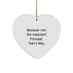 Assistant Principal Gifts, Funny Heart Ornament for Christmas, 'Because I Am The Assistant Principal. That's Why.' from Friends, Family, Coworkers