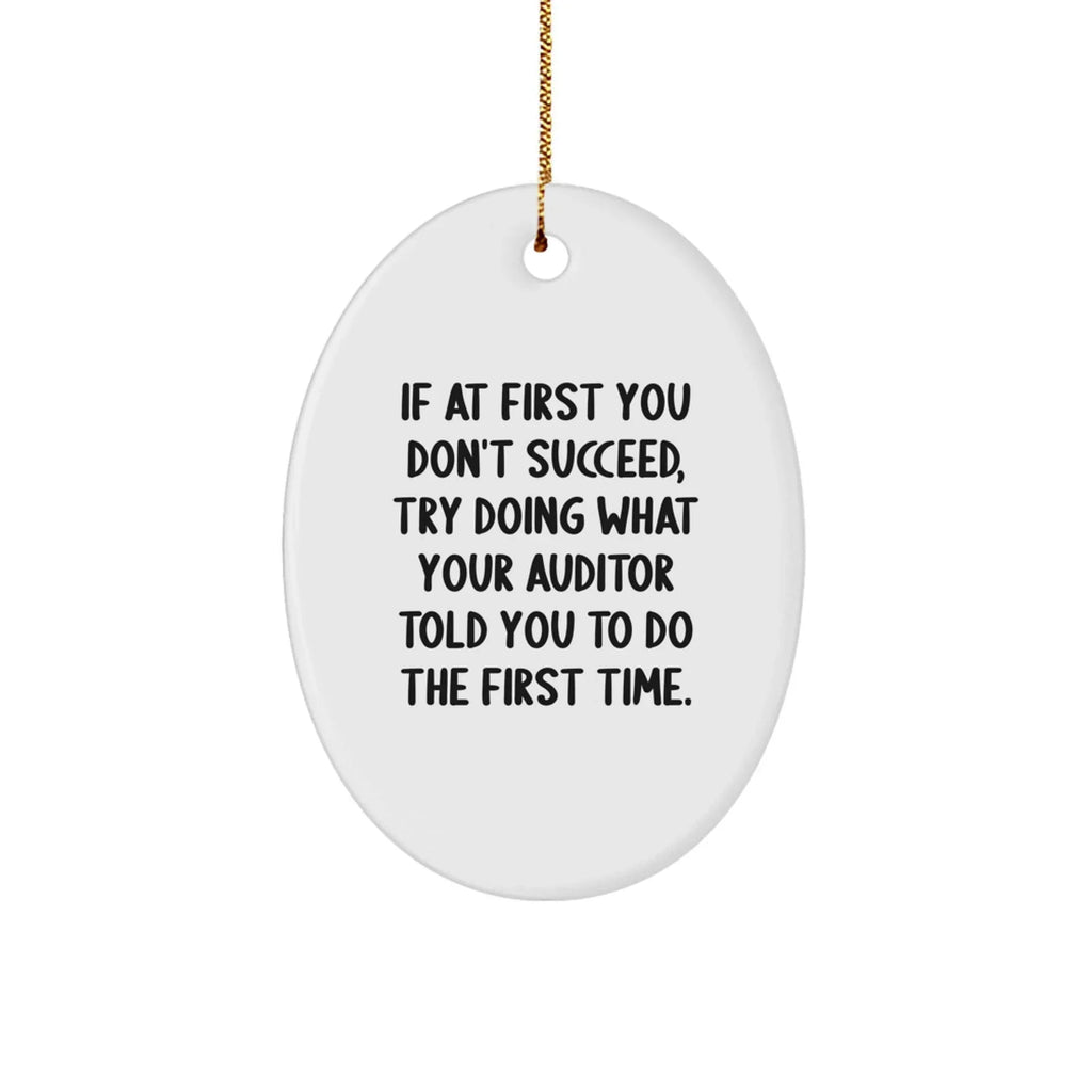 Auditor Oval Ornament Funny Quote Gifts from Friends, Gifts for Auditor, Christmas Unique Gifts
