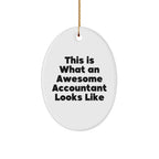 Awesome Accountant Gifts from Friends for Christmas - This Is What An Awesome Accountant Looks Like Oval Ornament