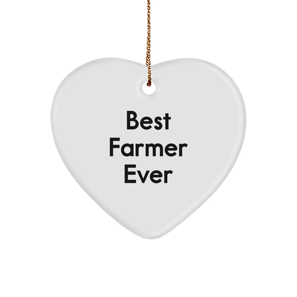 Best Farmer Ever Heart Ornament Gifts from Friends for Christmas Unique Farmer