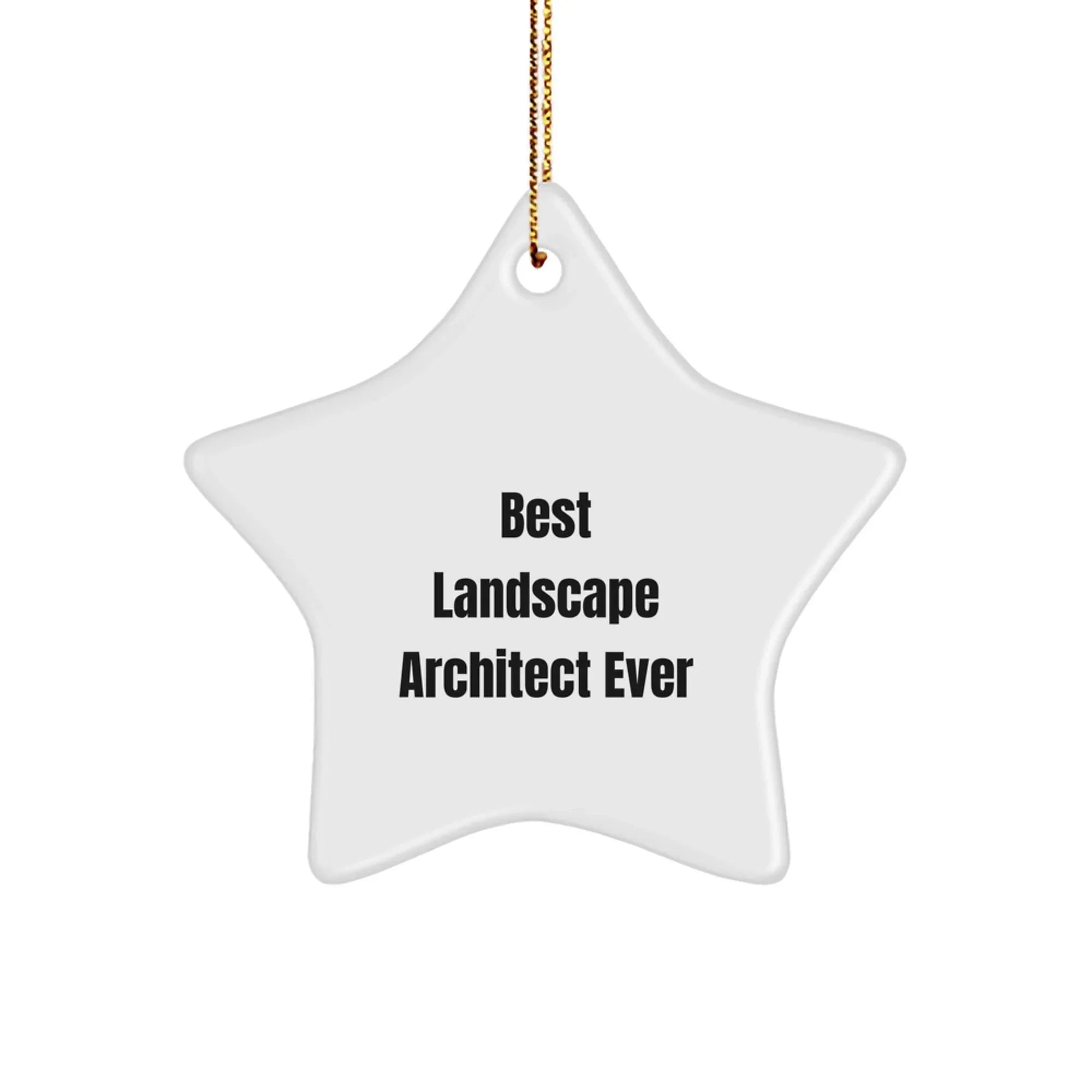 Best Landscape Architect Ever Star Ornament, Gifts from Friends to Landscape Architects, Unique Christmas Unique Gifts