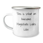 Magistrate's Camping Mug Gift, Funny Quote, Father's Day Unique Gifts from Men to Magistrate, 12 oz Stainless Steel