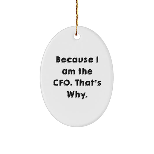 CFO Gifts from Friends for a Hilarious Christmas Unique Oval Ornament