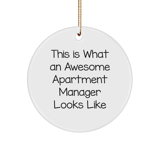 Funny Apartment Manager Gifts for Christmas - 'This Is What An Awesome Apartment Manager Looks Like' Circle Ornament from Friends - Image 1