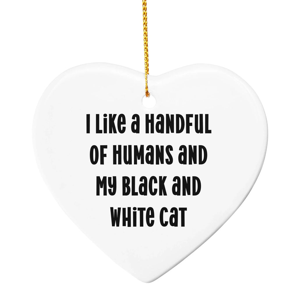 Funny Black and White Cat Christmas Ornaments- I Like A Handful Of Humans And My Black And White Cat