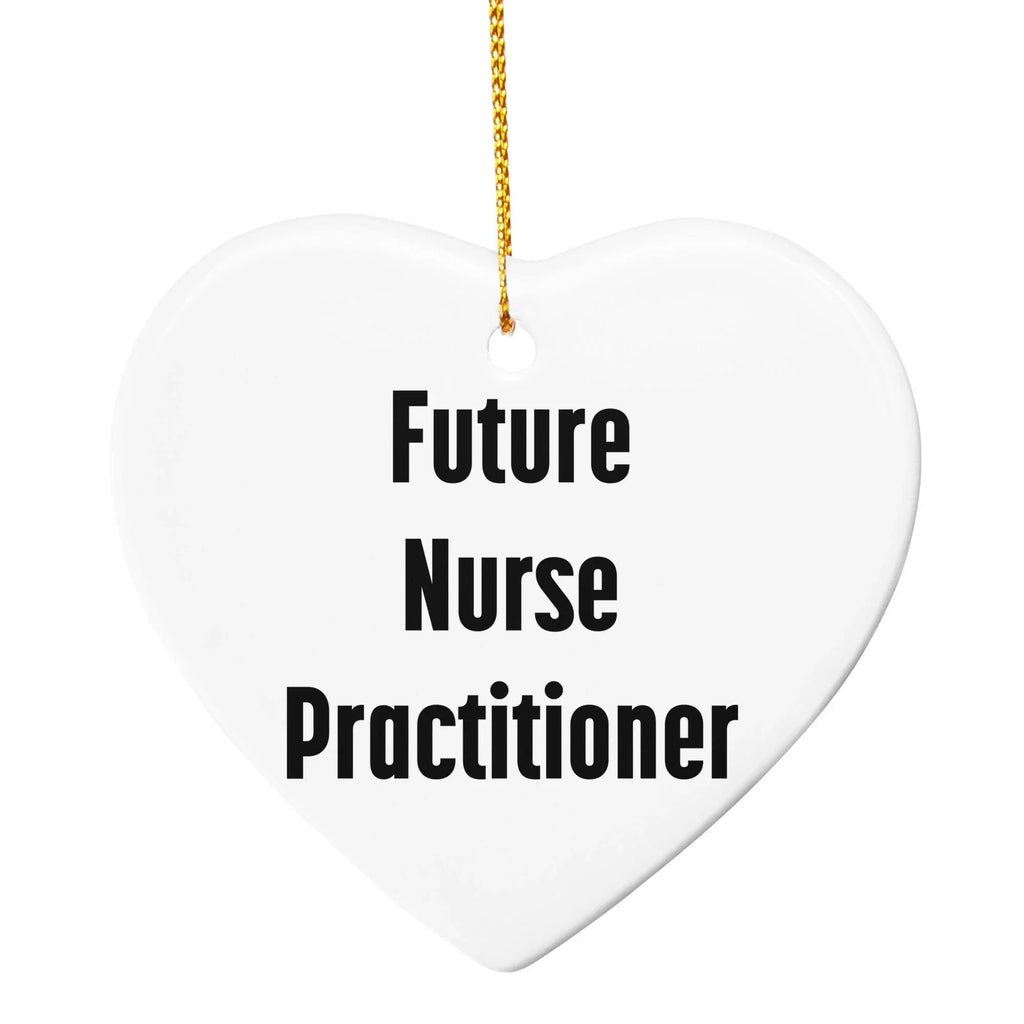 Funny Future Nurse Practitioner Christmas Circle Ornament Gifts