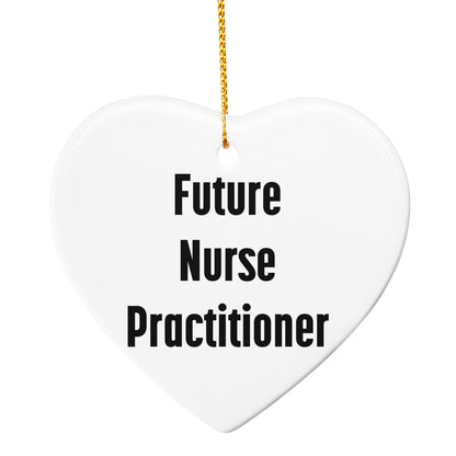 Funny Future Nurse Practitioner Christmas Circle Ornament Gifts