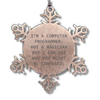 Computer Programmer Gifts from Friends for Christmas - Snowflake Ornament, Funny Quote, Stainless Steel, Safe, and Durable