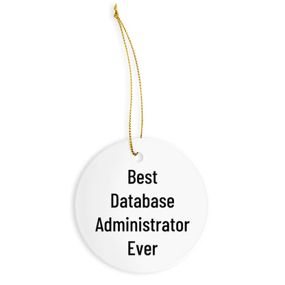 Database Administrator Gifts, Funny Quote Circle Ornament, Gifts from Friends for Database Administrator, Unique Christmas Unique Gifts for Men