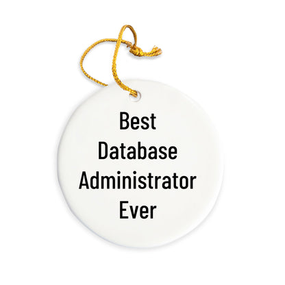 Database Administrator Gifts, Funny Quote Circle Ornament, Gifts from Friends for Database Administrator, Unique Christmas Unique Gifts for Men
