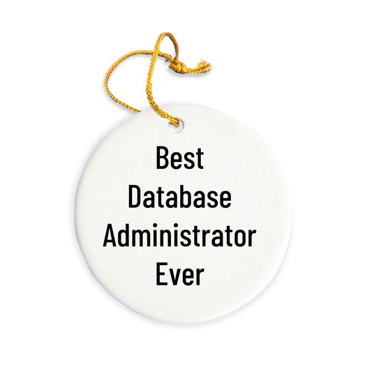 Database Administrator Gifts, Funny Quote Circle Ornament, Gifts from Friends for Database Administrator, Unique Christmas Unique Gifts for Men
