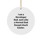 Developer Dad Circle Ornament, Funny Quote Gifts from Men to Developer Friends, Unique Christmas Unique Gifts for Programmer Family