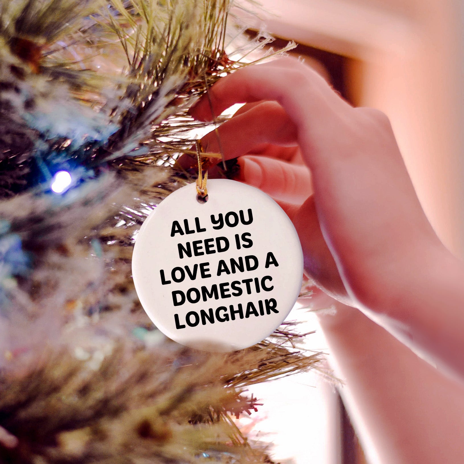 Domestic Longhair Cat Gifts from Friends for Christmas - 'All You Need Is Love And A Domestic Longhair' Circle Ornament