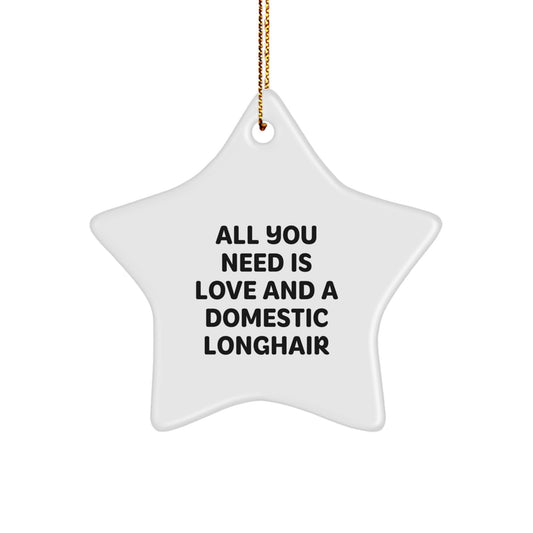 Domestic Longhair Cat Star Ornament Gifts from Friends, Funny Christmas Decorations with Quote 'All You Need Is Love And A Domestic Longhair'