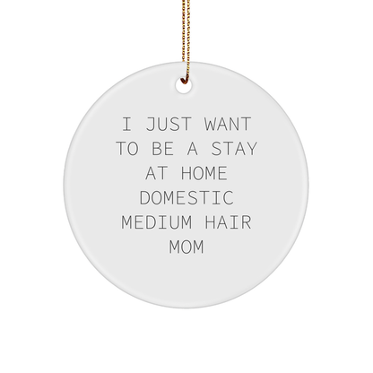 Domestic Medium Hair Cat Mom Gifts, I Just Want To Be A Stay At Home, Circle Ornament for Christmas, Gifts from Mom to Domestic Medium Hair Cat, Unique Christmas Unique Gifts