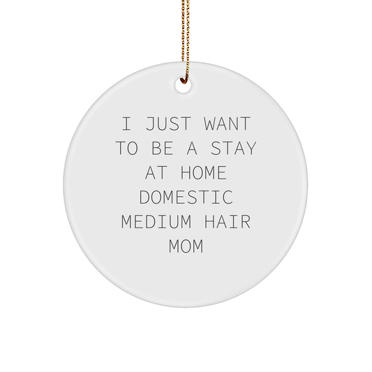 Domestic Medium Hair Cat Mom Gifts, I Just Want To Be A Stay At Home, Circle Ornament for Christmas, Gifts from Mom to Domestic Medium Hair Cat, Unique Christmas Unique Gifts