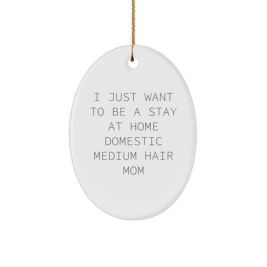 Domestic Medium Hair Cat Mom Oval Ornament, I Just Want To Be A Stay At Home, Gifts from Family to Friends, Christmas Unique Gifts for Domestic Medium Hair Cat, Oval Ornament