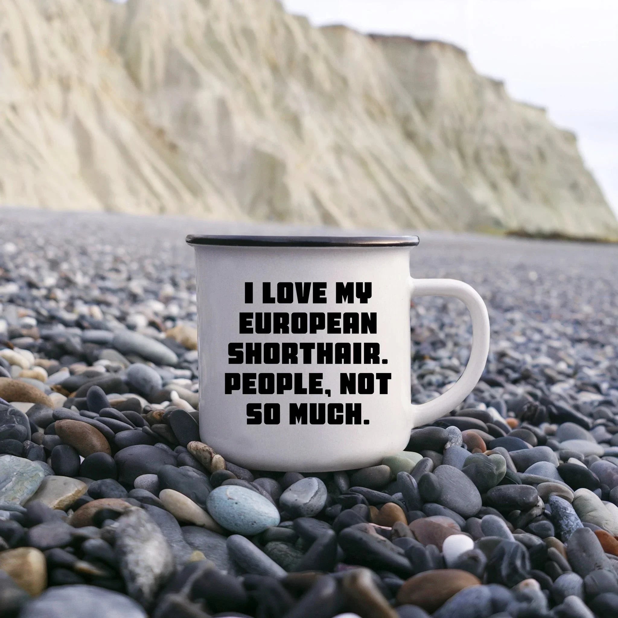 Gifts from Men to European Shorthair Cat Lovers, Funny Quote Mug for Graduation, 12 oz Camping Mug with Enamel Finish, Gifts for Family