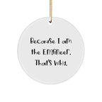 Engineer Gifts from Men, Engineer Circle Ornament with Funny Quote 'Because I Am The Engineer. That's Why.' for Christmas Unique Gifts