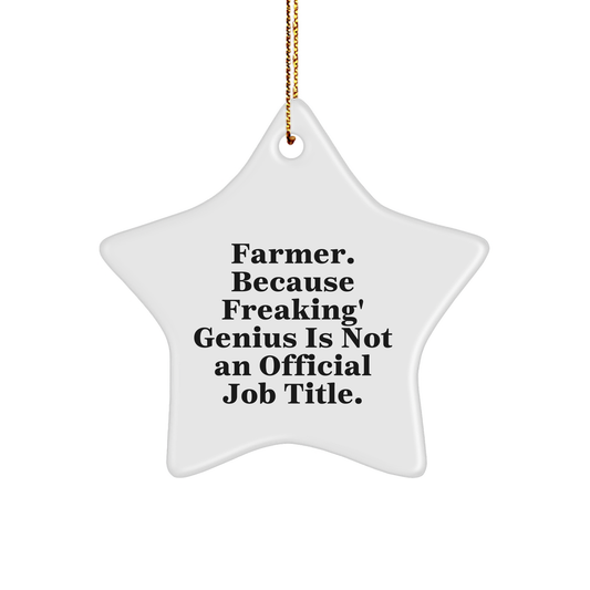 Farmer Gifts from Friends - Star Ornament, White Color, 'Farmer. Because Freaking' genius Is Not An Official Job Title.' - Unique Christmas Unique Gifts for Farmers