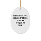 Farmer Gifts from Friends and Family - Oval Ornament with Funny Quote, 'Farmer. Because Freaking' genius Is Not An Official Job Title.' - Unique Christmas Ornament for Men or Women