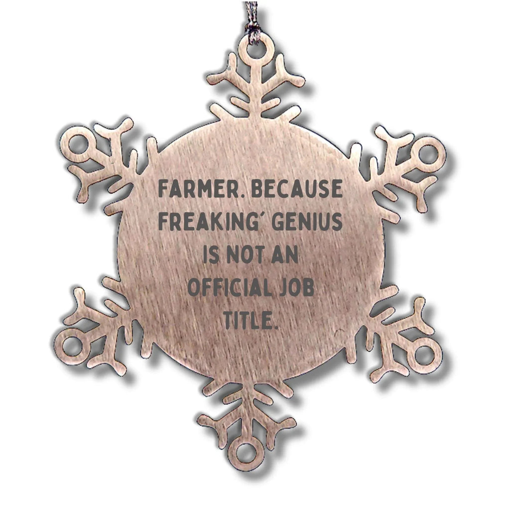 Farmer Gifts from Friends for Men Unique Snowflake Ornament, Funny Quote, Christmas Memorable Present