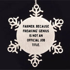 Farmer Gifts from Friends for Men Unique Snowflake Ornament, Funny Quote, Christmas Memorable Present