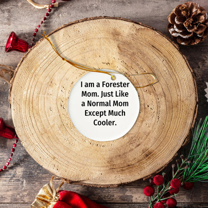 Forester Mom's Unique Circle Ornament Gifts for Friends, Family, or Coworkers - Funny Inspirational Quotes, Christmas Decorations