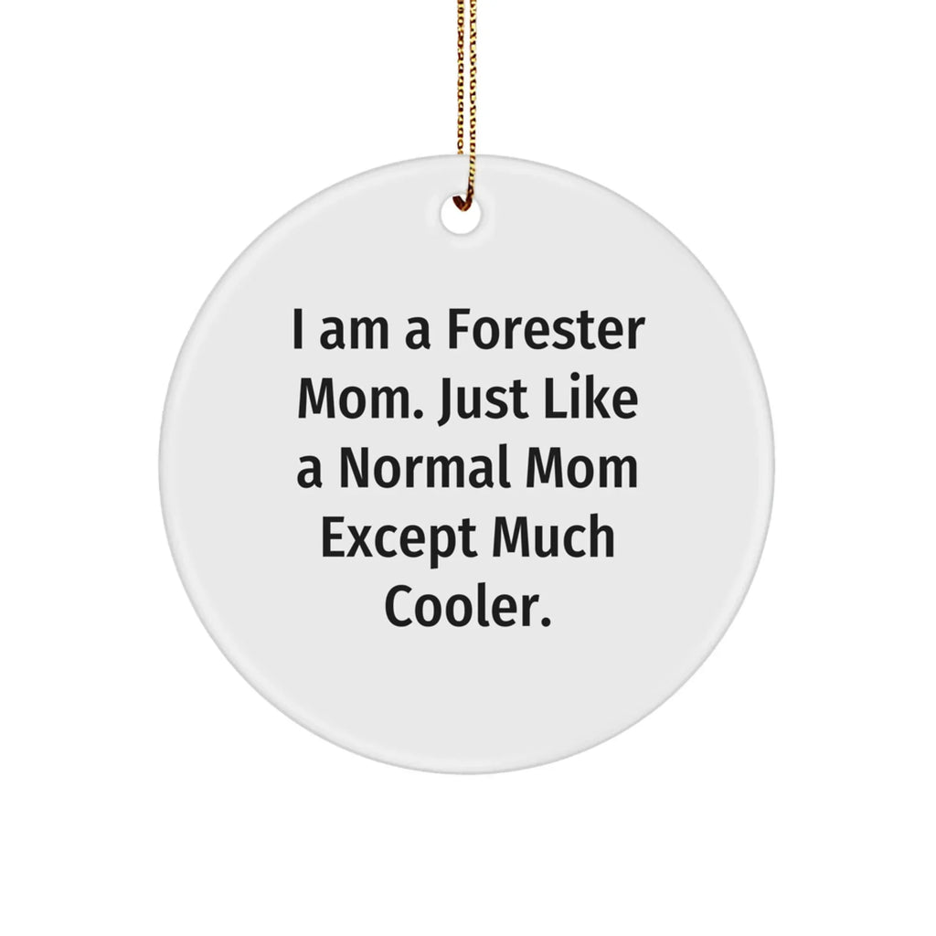 Forester Mom's Unique Circle Ornament Gifts for Friends, Family, or Coworkers - Funny Inspirational Quotes, Christmas Decorations
