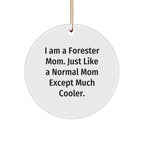 Forester Mom's Unique Circle Ornament Gifts for Friends, Family, or Coworkers - Funny Inspirational Quotes, Christmas Decorations