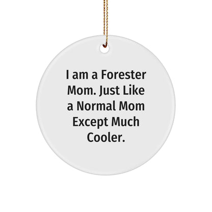 Forester Mom's Unique Circle Ornament Gifts for Friends, Family, or Coworkers - Funny Inspirational Quotes, Christmas Decorations
