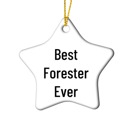 Forester Star Ornament, Best Forester Ever Funny Quote, Gifts from Men to Forester, Unique Christmas Unique Gifts