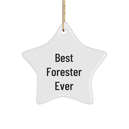 Forester Star Ornament, Best Forester Ever Funny Quote, Gifts from Men to Forester, Unique Christmas Unique Gifts
