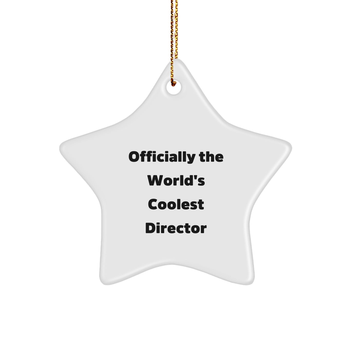 Fun Director Gifts, Officially The World's Coolest Director Star Ornament, Christmas Unique Gifts from Friends to Director