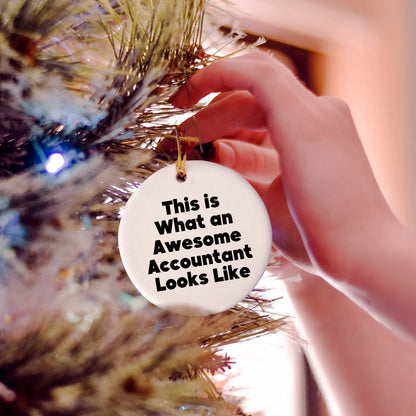 Funny Accountant Gifts, Circle Ornament, 'This Is What An Awesome Accountant Looks Like', Christmas Unique Gifts from Friends, Coworkers, Family for Accountants