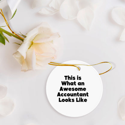 Funny Accountant Gifts, Circle Ornament, 'This Is What An Awesome Accountant Looks Like', Christmas Unique Gifts from Friends, Coworkers, Family for Accountants