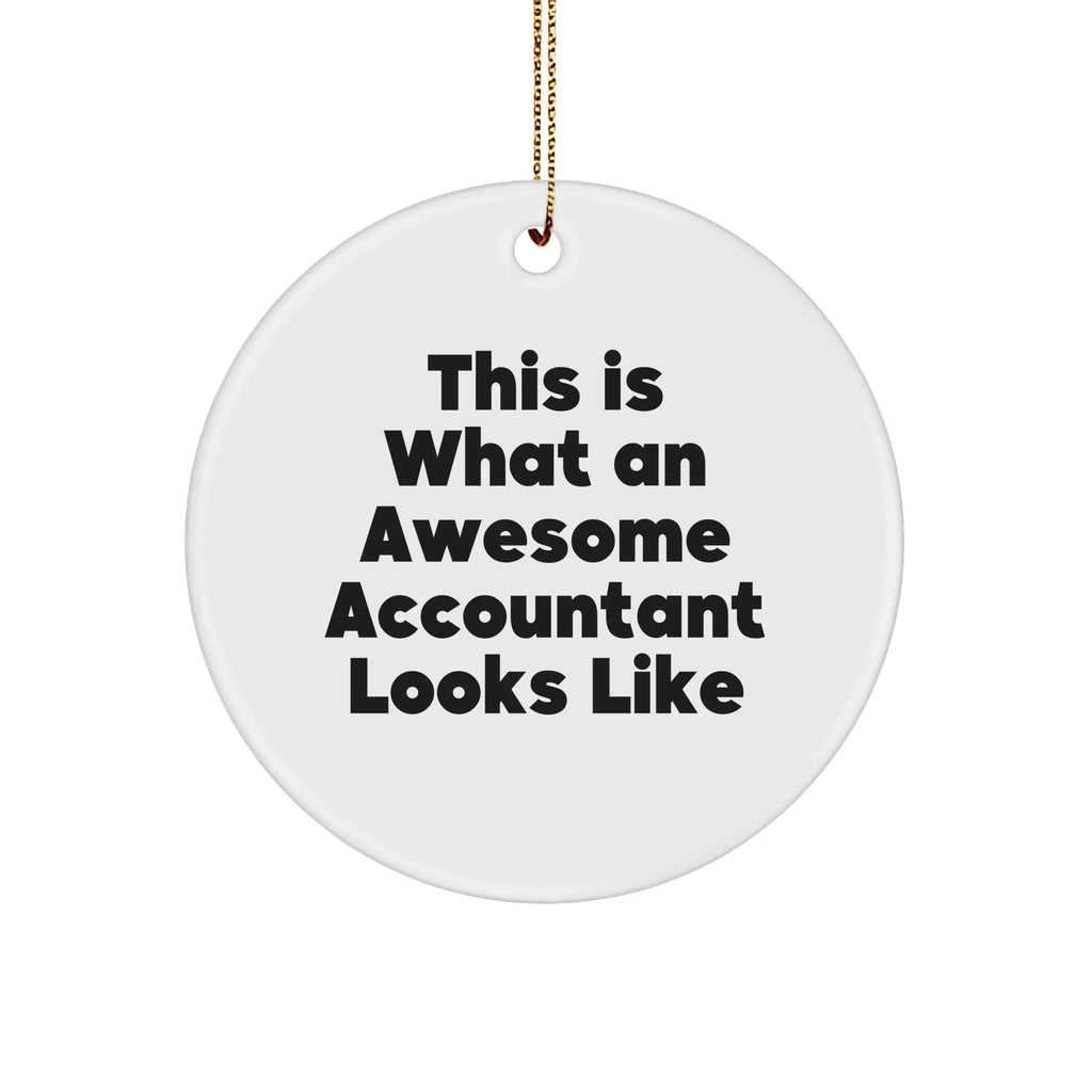 Funny Accountant Gifts, Circle Ornament, 'This Is What An Awesome Accountant Looks Like', Christmas Unique Gifts from Friends, Coworkers, Family for Accountants