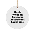Funny Accountant Gifts, Circle Ornament, 'This Is What An Awesome Accountant Looks Like', Christmas Unique Gifts from Friends, Coworkers, Family for Accountants