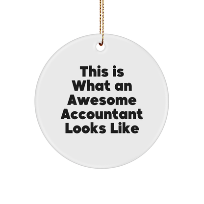 Funny Accountant Gifts, Circle Ornament, 'This Is What An Awesome Accountant Looks Like', Christmas Unique Gifts from Friends, Coworkers, Family for Accountants