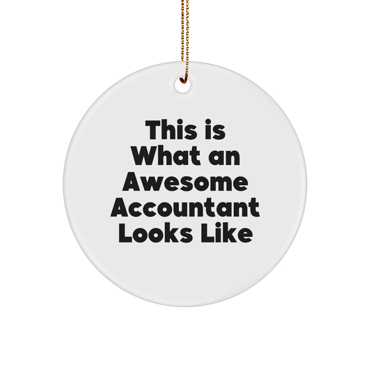 Funny Accountant Gifts, Circle Ornament, 'This Is What An Awesome Accountant Looks Like', Christmas Unique Gifts from Friends, Coworkers, Family for Accountants