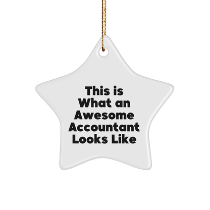 Funny Accountant Gifts: Inspirational Star Ornament, 'This Is What An Awesome Accountant Looks Like', for Accountant, Christmas Unique Gifts from Friends, Coworkers, Family