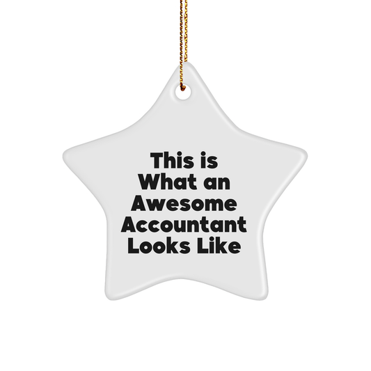 Funny Accountant Gifts: Inspirational Star Ornament, 'This Is What An Awesome Accountant Looks Like', for Accountant, Christmas Unique Gifts from Friends, Coworkers, Family