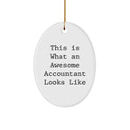 Funny Accountant Gifts - This Is What An Awesome Accountant Looks Like - Oval Ornament for Christmas