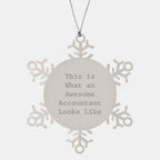 Funny Accountant Gifts, This Is What An Awesome Accountant Looks Like, Snowflake Ornament for Christmas Unique Gifts from Family, Friends, Coworkers to Accountant