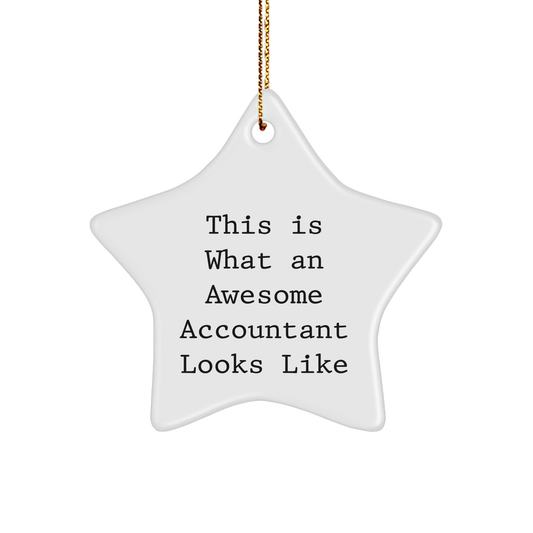 Funny Accountant Gifts from Friends - Star Ornament - This Is What An Awesome Accountant Looks Like - Gifts for Accountants at Christmas