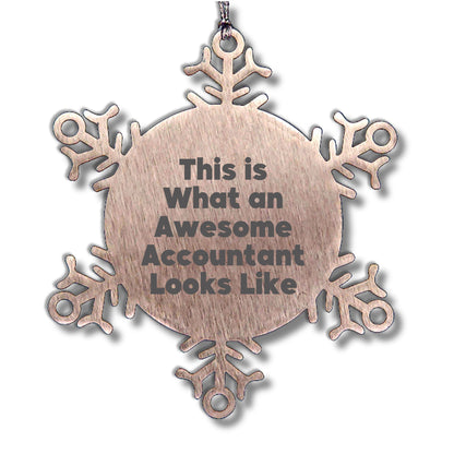 Funny Accountant Gifts from Friends for Christmas - Snowflake Ornament, 'This Is What An Awesome Accountant Looks Like'
