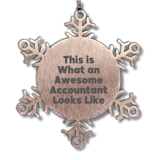 Funny Accountant Gifts from Friends for Christmas - Snowflake Ornament, 'This Is What An Awesome Accountant Looks Like'
