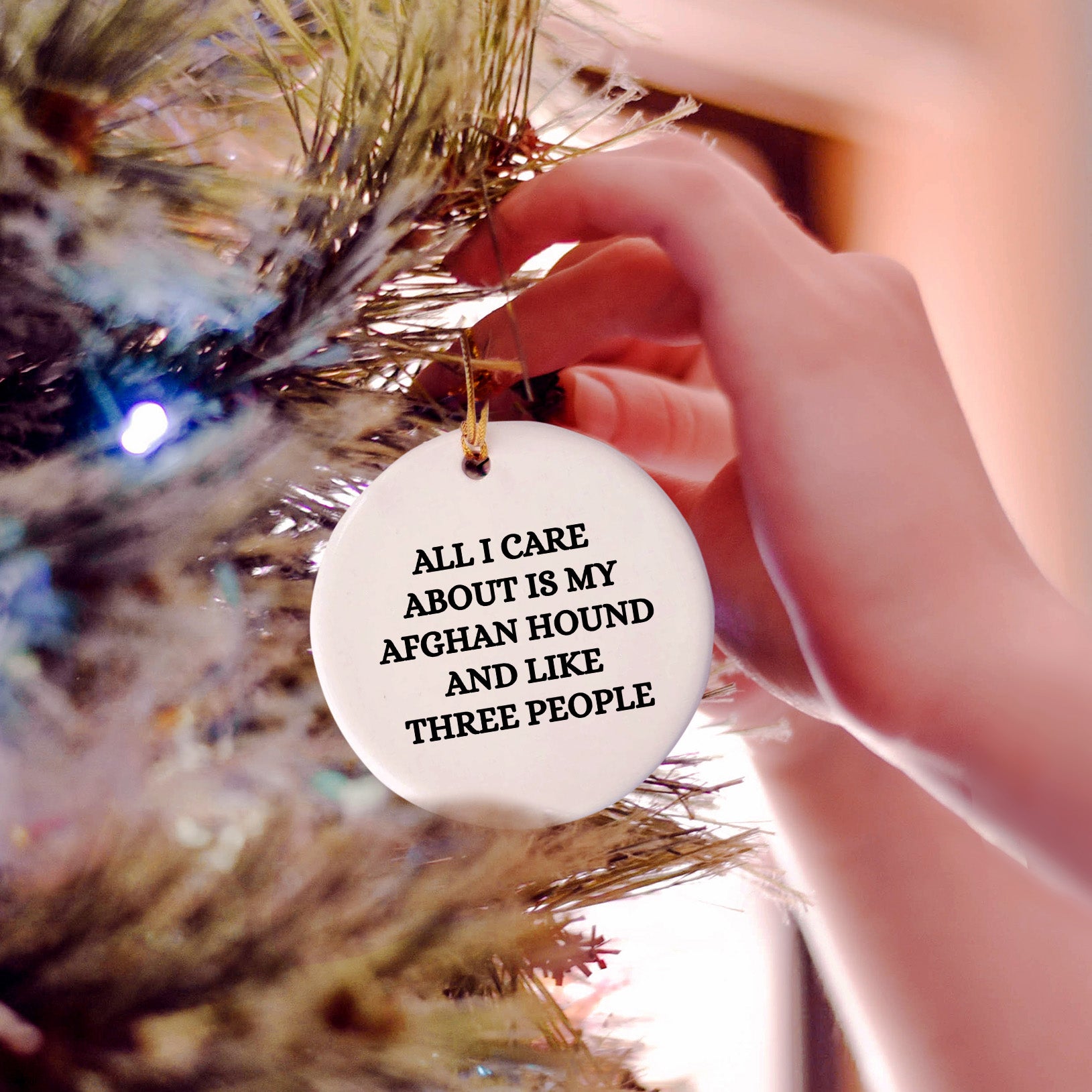 Funny Afghan Hound Dog Lover Gifts for Christmas - All I Care About are My Afghan Hound and Like Three People - Unique Circle Ornament Jewelry for Dog Mom from Me to You