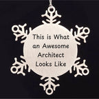 Funny Architect Gifts for Christmas - Snowflake Ornament from Friends to Family