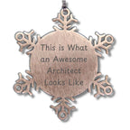 Funny Architect Gifts for Christmas - Snowflake Ornament from Friends to Family